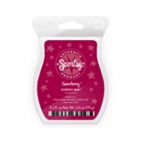 BUY Scentsy Scents