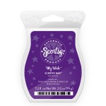 Scentsy Bar