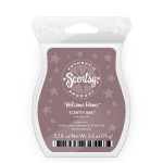 Welcome Home Scentsy