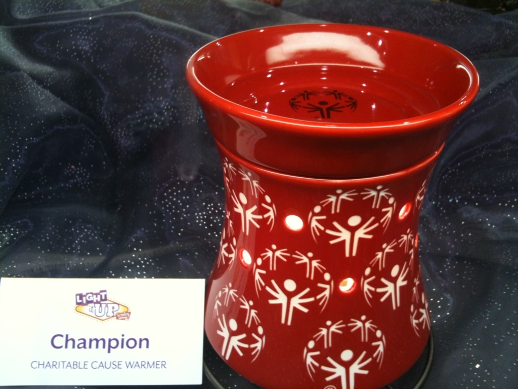 Special Olympics Charitable Cause Scentsy Warmer