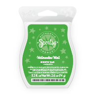 Scentsy Bar Watermelon Mint Scent of the Month