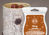 Scentsy Warmer of the Month December 2014