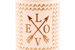 Scentsy Warmer love swept buy online