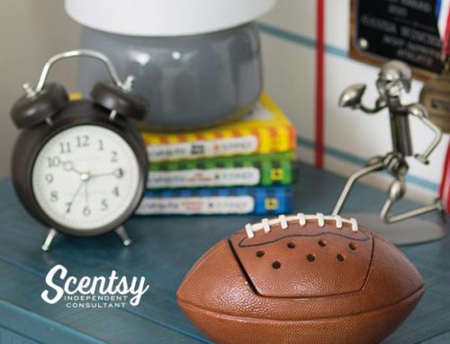 Scentsy Sports Warmers