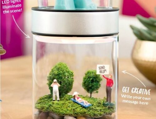 New Scentsy Terrarium Warmer “Make a Scene”