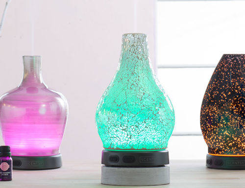 Scentsy Diffuser Special