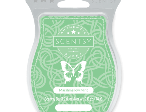 Top Scentsy Products to Buy Before They’re Gone!