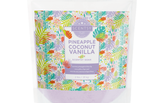 Scentsy soak