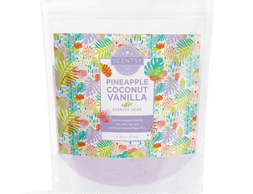 Scentsy Soak