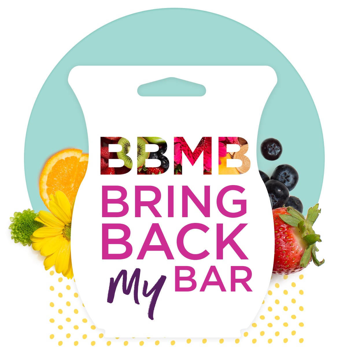 Scentsy Bring Back My Bar